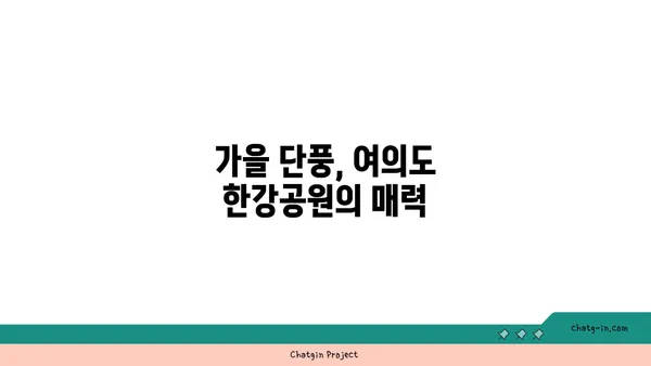 여의도 한강공원 피크닉, 아이와 함께하는 가을 단풍길