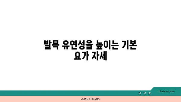 발목 유연성 강화를 위한 아이엔가 요가 스트레칭