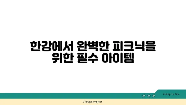 한강 피크닉 서울 여의도 한강 공원 음식 손선장 추천