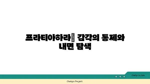 프라티아하라 개념과 요가의 철학적 연결점