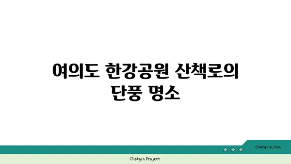 여의도 한강공원 피크닉, 아이와 함께하는 가을 단풍길