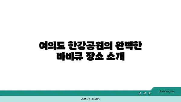 여의도 한강공원에서 즐기는 최고의 바비큐 피크닉