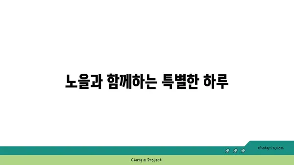 여의도 한강공원 써니텐트 한강피크닉대여 노을의 매력에 반하다