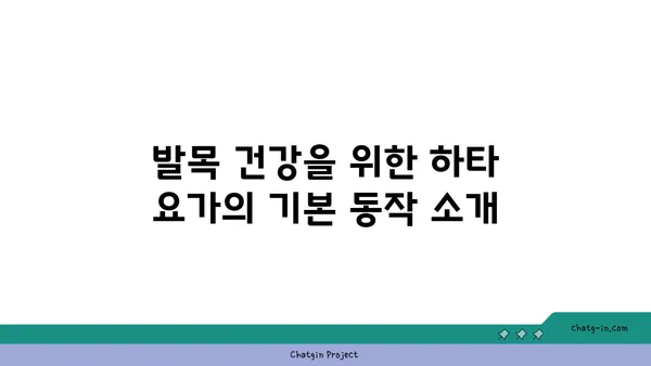 발목 관절 보호를 위한 하타 요가 루틴