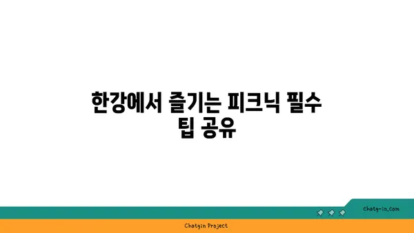 한강 텐트 대여 및 피크닉 가이드: 써니텐트 규정, 가격, 시간