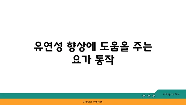 40대 중년 남성을 위한 건강 유지 요가 동작