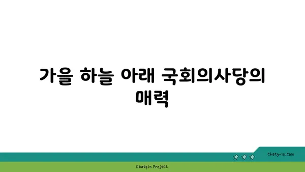 국회의사당과 여의도 한강공원: 가을날의 평화로운 피크닉