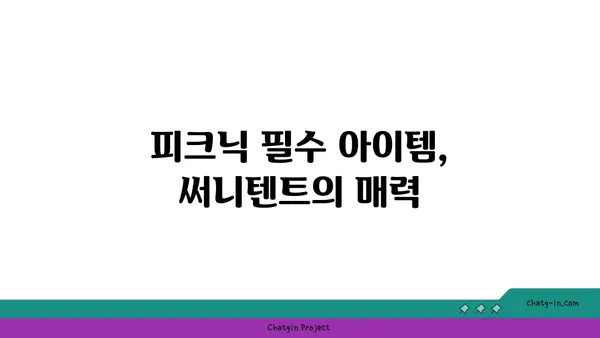 여의도 한강공원써니텐트 한강 피크닉 대여, 노을에 반했어