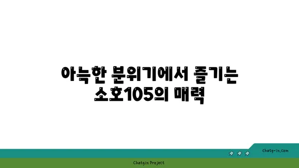 도룡동 소호105: 점심 식사와 저녁 안주 모두 가능한 곳