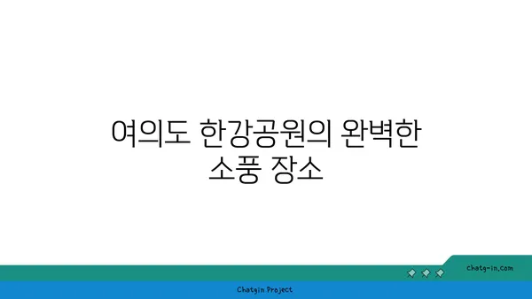 써니텐트 여의도 한강공원에서 즐기는 감성적인 피크닉 후기