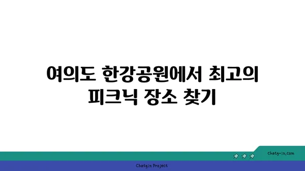 여의도 한강공원에서 라면과 치킨으로 피크닉 즐기기