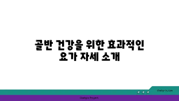 50대 여성의 골반 건강을 위한 요가