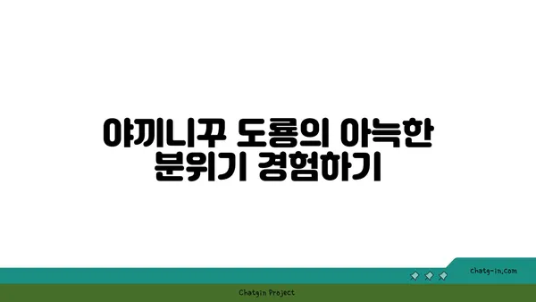 대전 엑스포 소고기맛집, 야끼니꾸 도룡