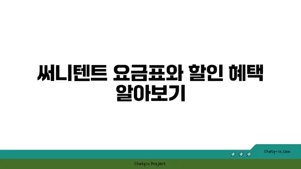 한강 텐트 대여 및 피크닉 가이드: 써니텐트 규정, 가격, 시간