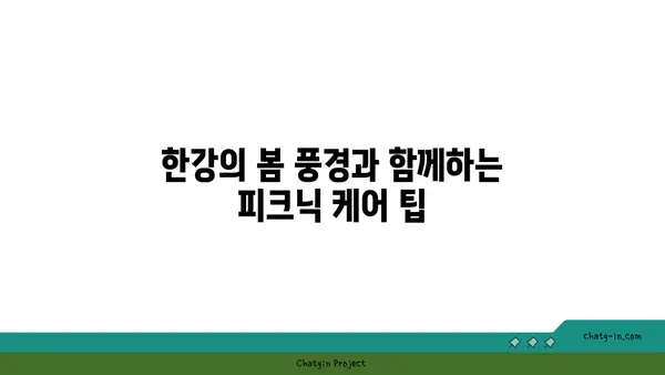 여의도 한강공원 봄 피크닉 장소: 편안한 텐트 대여