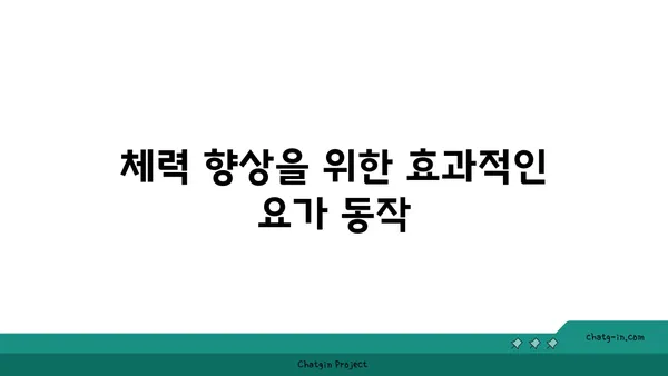 20대의 체력 증진을 위한 파워 요가