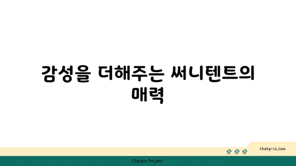 써니텐트 여의도 한강공원에서 즐기는 감성적인 피크닉 후기