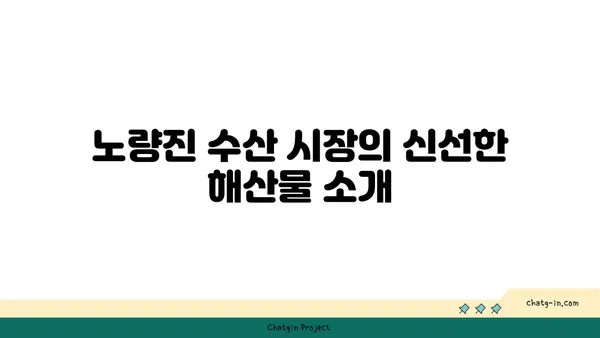 여의도 한강 공원에서 노량진 수산 시장 손선장 피크닉