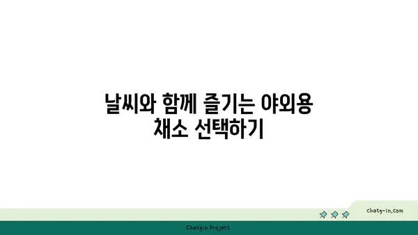 여의도 피크닉을 위한 잊지 말아야 할 신선한 과일과 야채