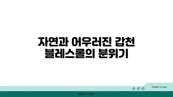 갑천 블레스롤 대전 엑스포점 뷰맛집