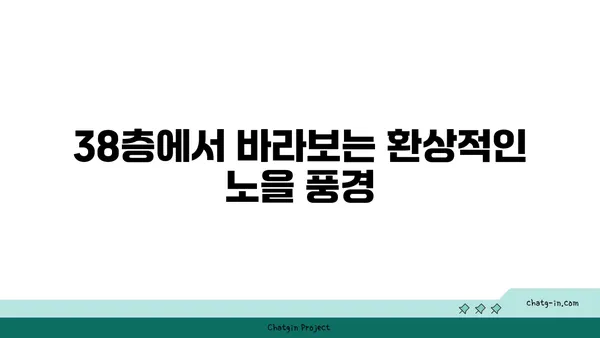 노을 맛집, 스타벅스 대전 엑스포스카이점의 38층 뷰