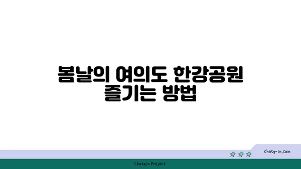 여의도 한강공원 봄 피크닉을 위한 완벽한 장소 준비