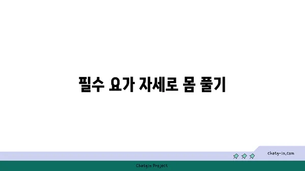 요가 초보자를 위한 필수 자세 가이드