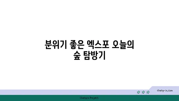 포레스트 오늘 숲 도룡점: 엑스포 오늘의 숲 맛집