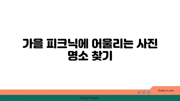 여의도 한강공원 피크닉, 가을 단풍길 나들이