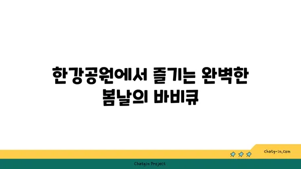 봄날의 한강공원 바비큐 피크닉