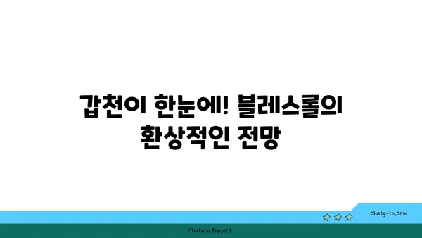 블레스롤 대전 엑스포점: 갑천을 바라보는 맛집