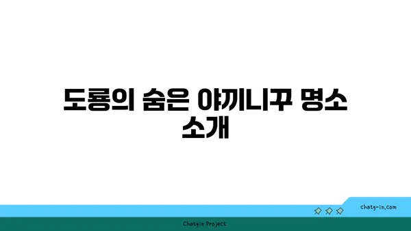 야끼니꾸 도룡 감성 소고기 맛집