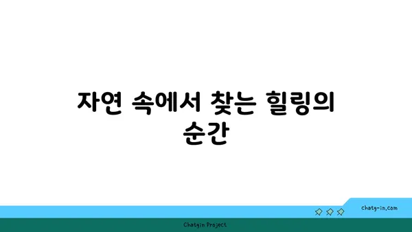 여의도 한강공원 써니텐트 한강피크닉대여 노을의 매력에 반하다