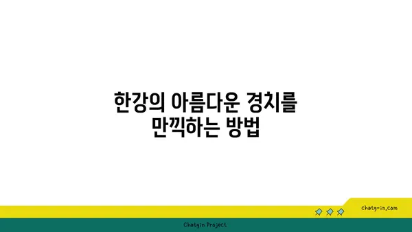 써니텐트로 즐기는 한강공원 다채로운 피크닉