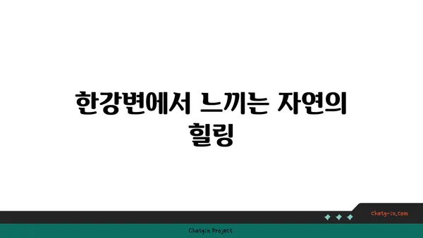 여의도 한강공원 피크닉 시간: 한강변에서의 휴식 시간