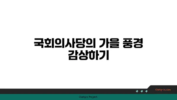 가을날의 국회의사당과 여의도 한강 공원 한강 피크닉 명소