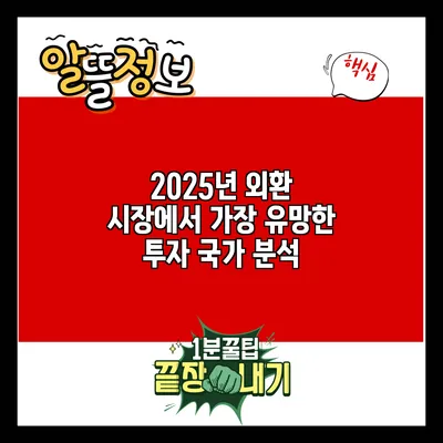 2025년 외환 시장에서 가장 유망한 투자 국가 분석