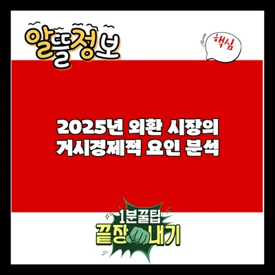 2025년 외환 시장의 거시경제적 요인 분석