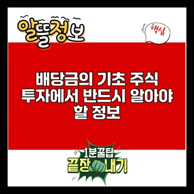 배당금의 기초: 주식 투자에서 반드시 알아야 할 정보