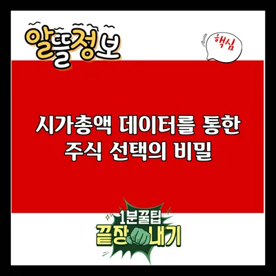 시가총액 데이터를 통한 주식 선택의 비밀