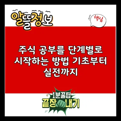 주식 공부를 단계별로 시작하는 방법: 기초부터 실전까지