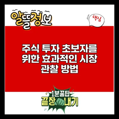 주식 투자 초보자를 위한 효과적인 시장 관찰 방법