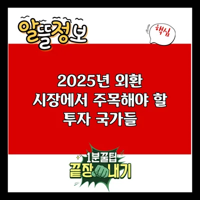 2025년 외환 시장에서 주목해야 할 투자 국가들