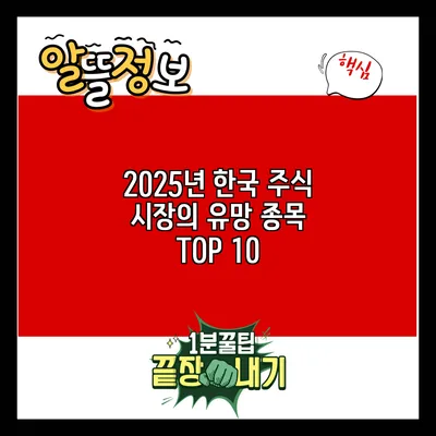 2025년 한국 주식 시장의 유망 종목 TOP 10