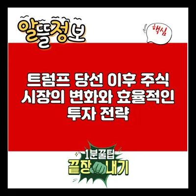 트럼프 당선 이후 주식 시장의 변화와 효율적인 투자 전략