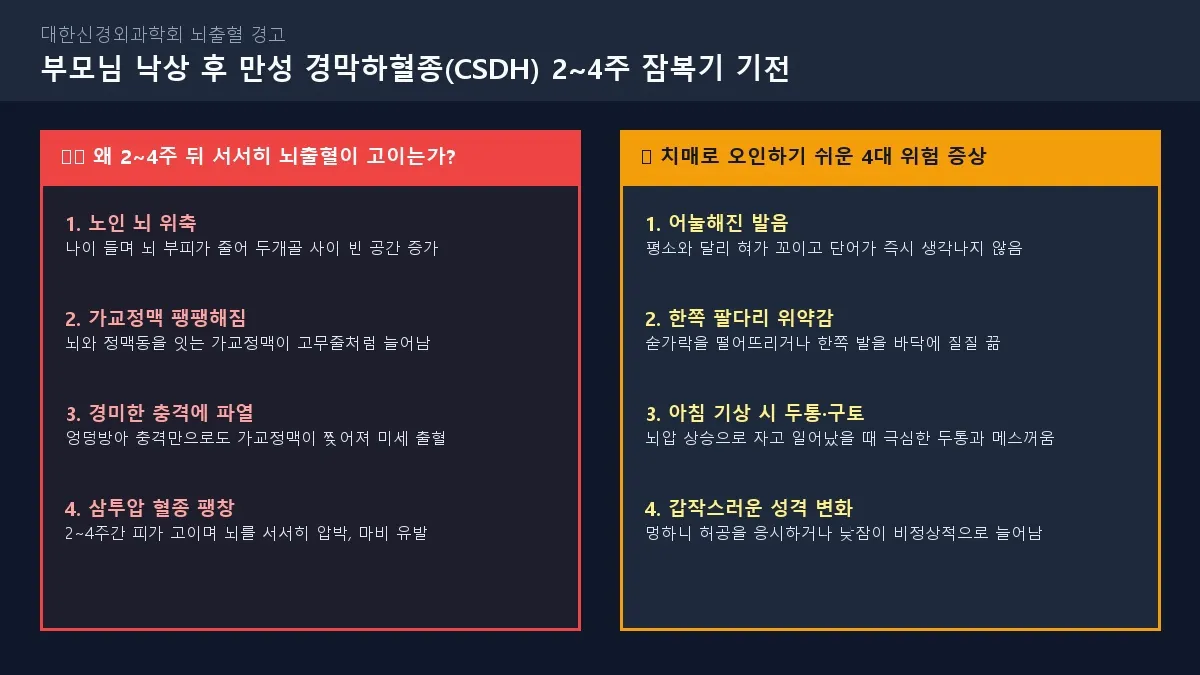 [신경외과 뇌출혈 경고] 노인 만성 경막하혈종(CSDH) 2~4주 잠복기 및 뇌 가교정맥 파열 기전 도해
